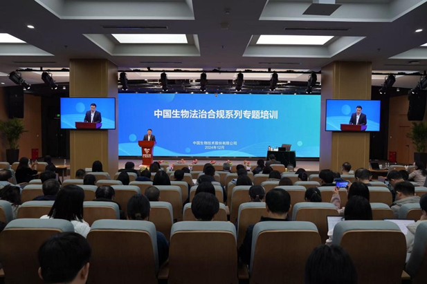 1733822822669093725.jpg 2.jpg