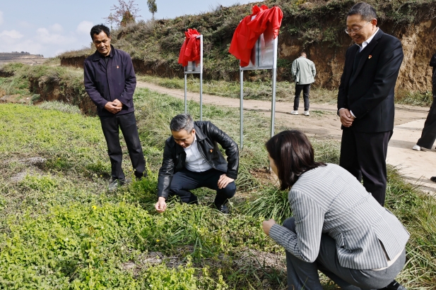 實(shí)地調研 (4).jpg