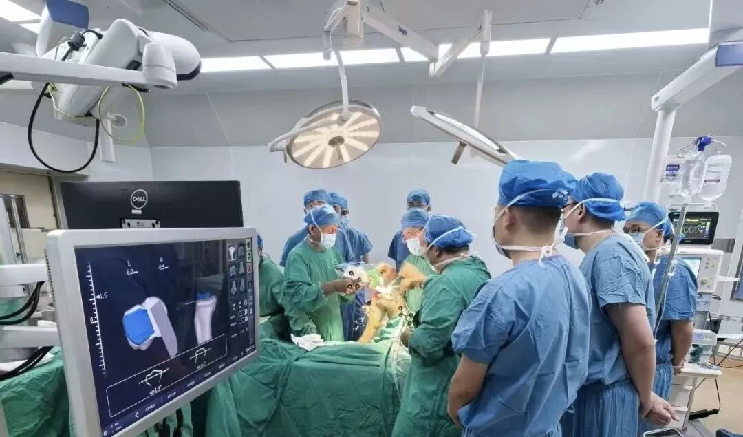 1766052825706075729.jpg 2.jpg