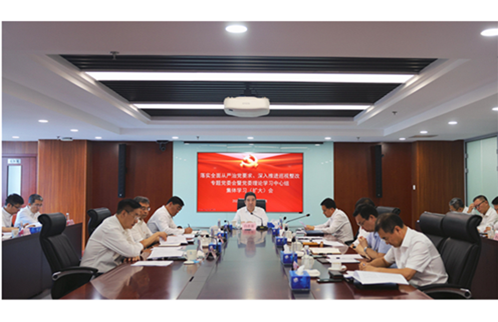 國藥集團召開(kāi)落實(shí)全面從嚴治黨要求、深入推進(jìn)巡視整改專(zhuān)題黨委會(huì )暨黨委理論學(xué)習中心組集體學(xué)習（擴大）會(huì )